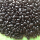 Crop Black Kidney Bean