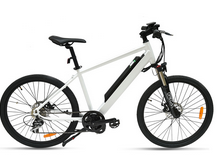 montain electric bike