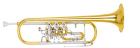 Brass Instruments