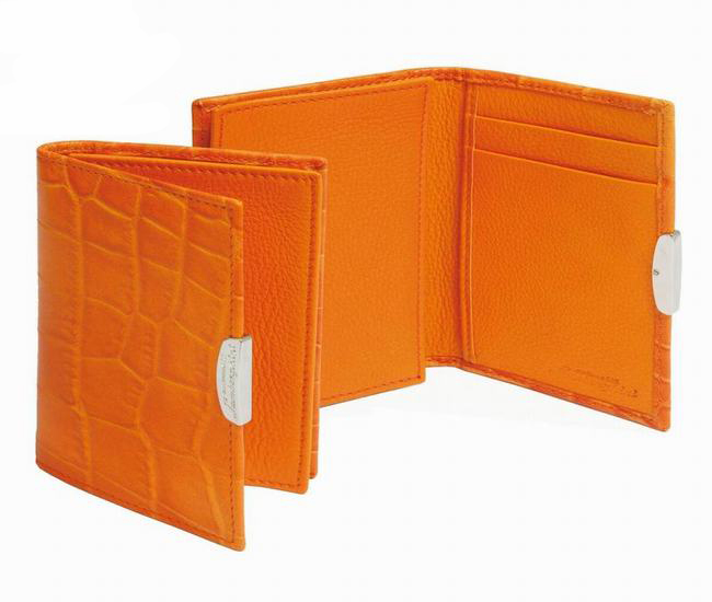 Credit card holder