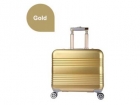 Gold Aluminum Luggage