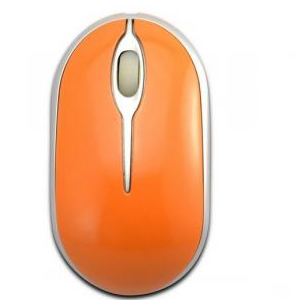 Computer Mouse