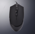 Computer Mouse