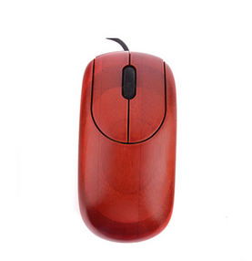 Computer Mouse