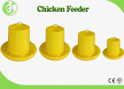 Animal Feeder Equipment