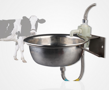 Animal Drinking Equipment