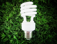 T2 Half Spiral CFL YPZ-US-15W