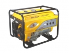 Gasoline Generators