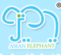 Shantou Asian Elephant Toys Factory