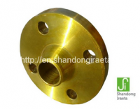 Welding Neck Flange-SI-PF-13009