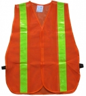 Life Vest