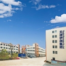 Tianjin Elecmotor Co., Ltd.