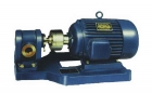 2CY Gear Oil Pump