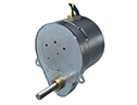 AC Synchronous Motor