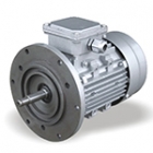 AC Asynchronous Motor