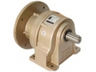 DC Gear Motor