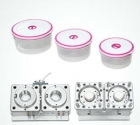 Plastic Injection Mould