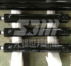 Hydraulic Cylinders