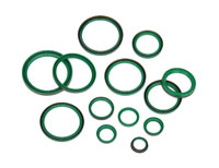 Oil Seal