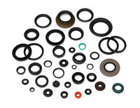 Oil Seal