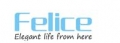 Guangdong Felice Electric Appliance Co., Limited