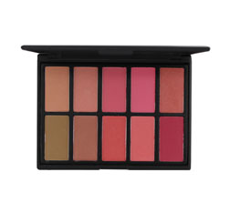 10 color blusher palette