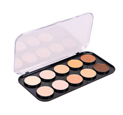 10 color concealer palette