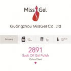 Missgel nail art gel polish