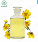 Primrose oil