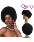 Color #1/#1B/#2 afro wig Wholesale Price Medium Density 130% short wig Human Hair Glueless afro STyle