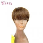 Human hair wig