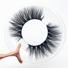 False Eyelashes