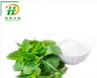 Stevia Extract