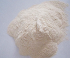 Yeast powder 60%