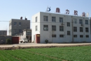 Taian Dingli Gum Industry Co., Ltd.