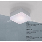 Ceiling Lights 