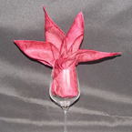 Table Napkin
