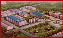 Shantou Wally Foodstuff Co., Ltd.