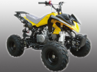 Sports ATV   BC-XS110