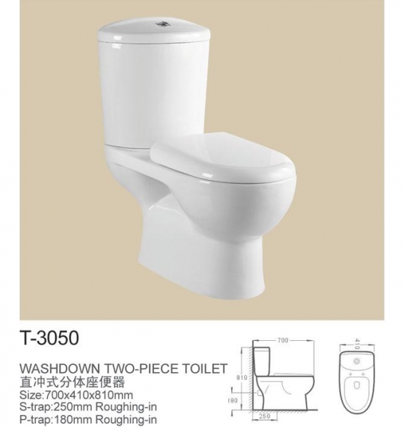 Washdown two-piece toilet