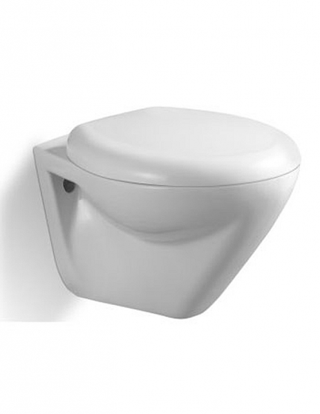 Wall - hung toilet bowl