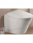 Wall - hung toilet bowl