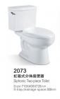siphonic Two-piece toilet