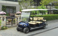 Sightseeing Cart