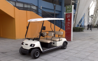 Sightseeing Golf Car