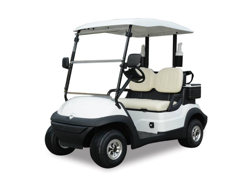 Electric Golf Cart