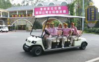 Sightseeing Cart