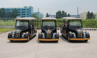 Sightseeing Car
