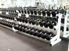 Adjustable dumbbell with rack