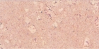 Cork Flooring (hk-1018)